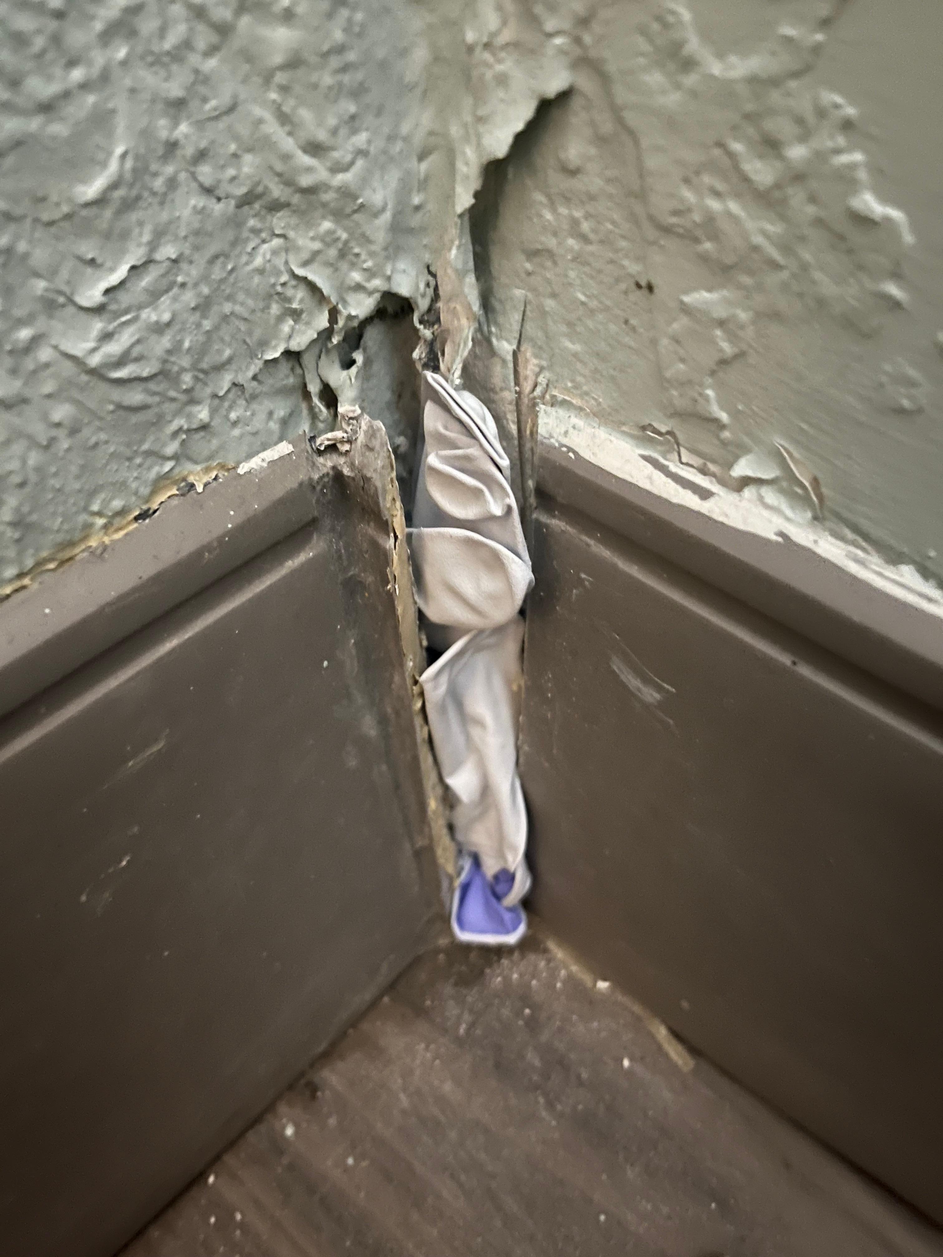 I stuck a glove inside so nothing would crawl out smh