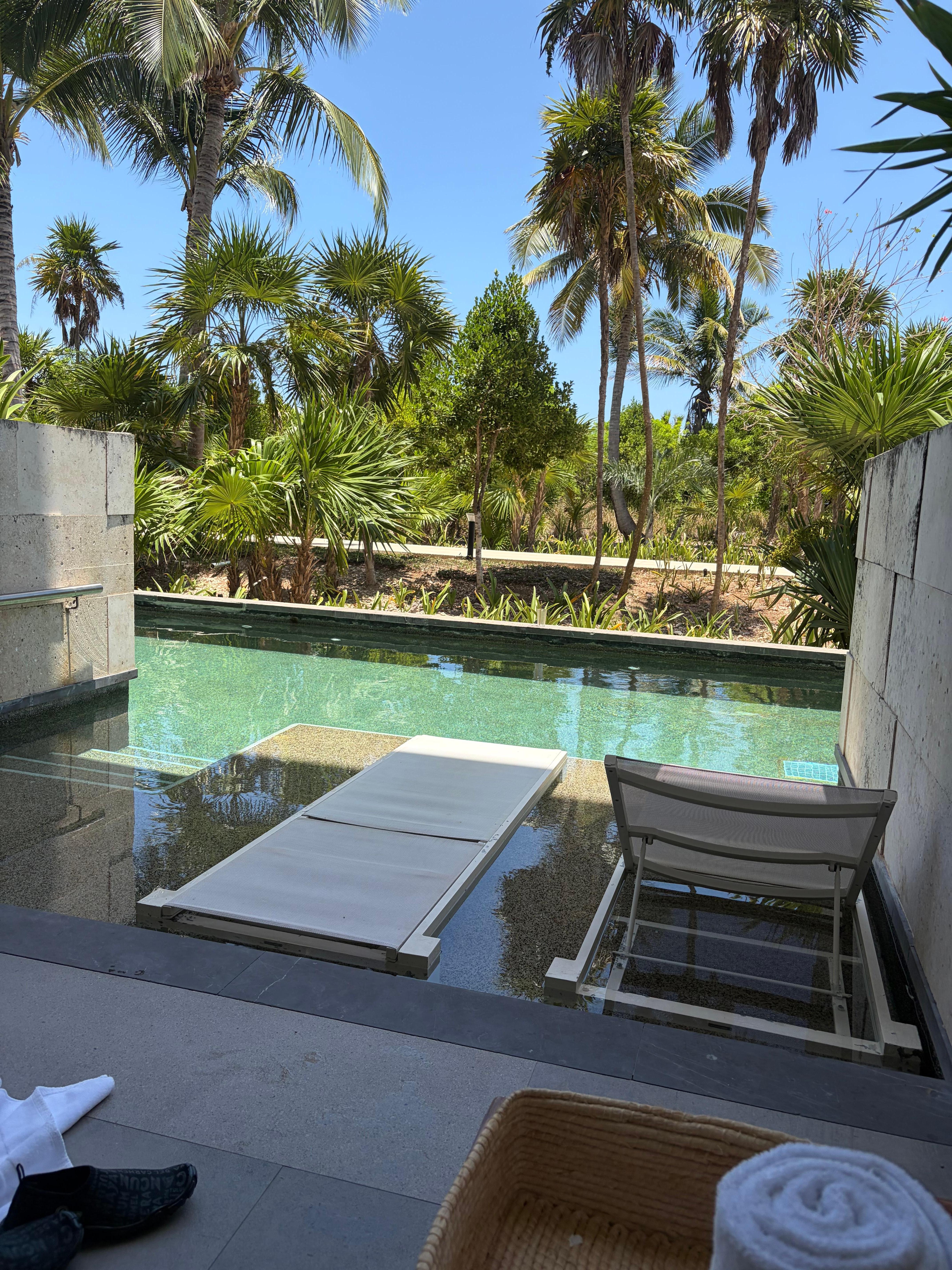Vista desde mi habitación en planta baja swim up