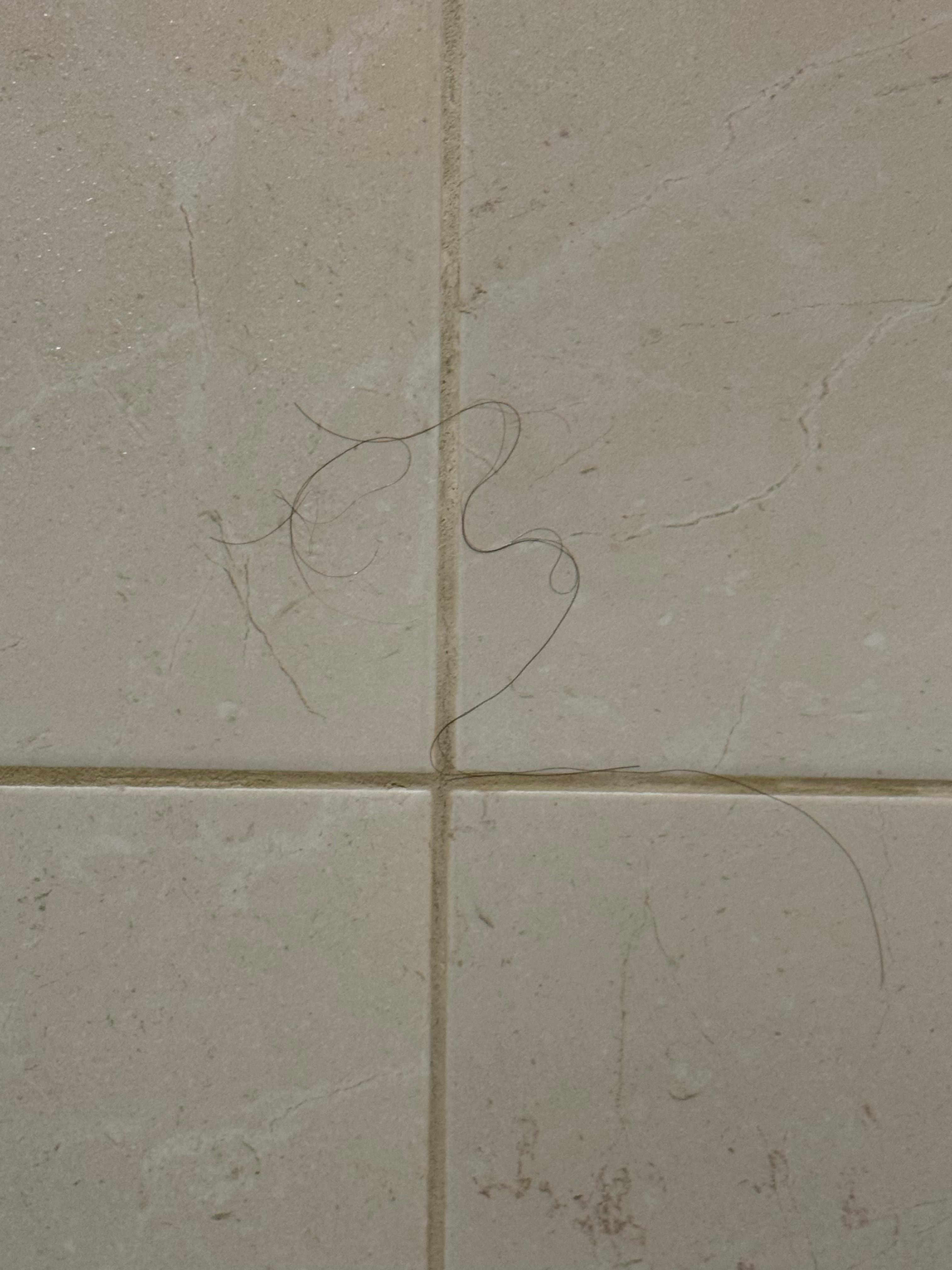 Hair on the shower wall from previous guest