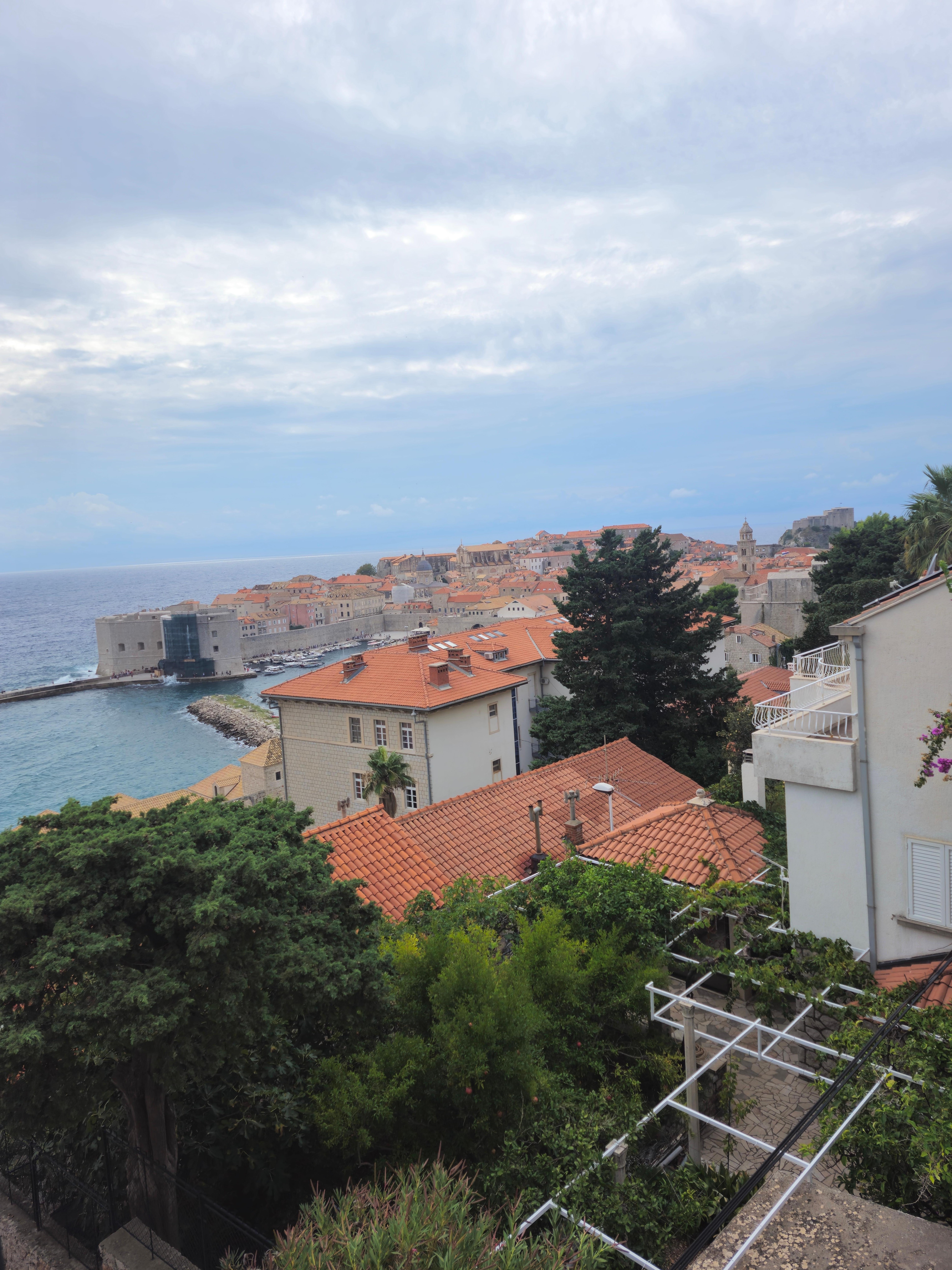 View from dining area