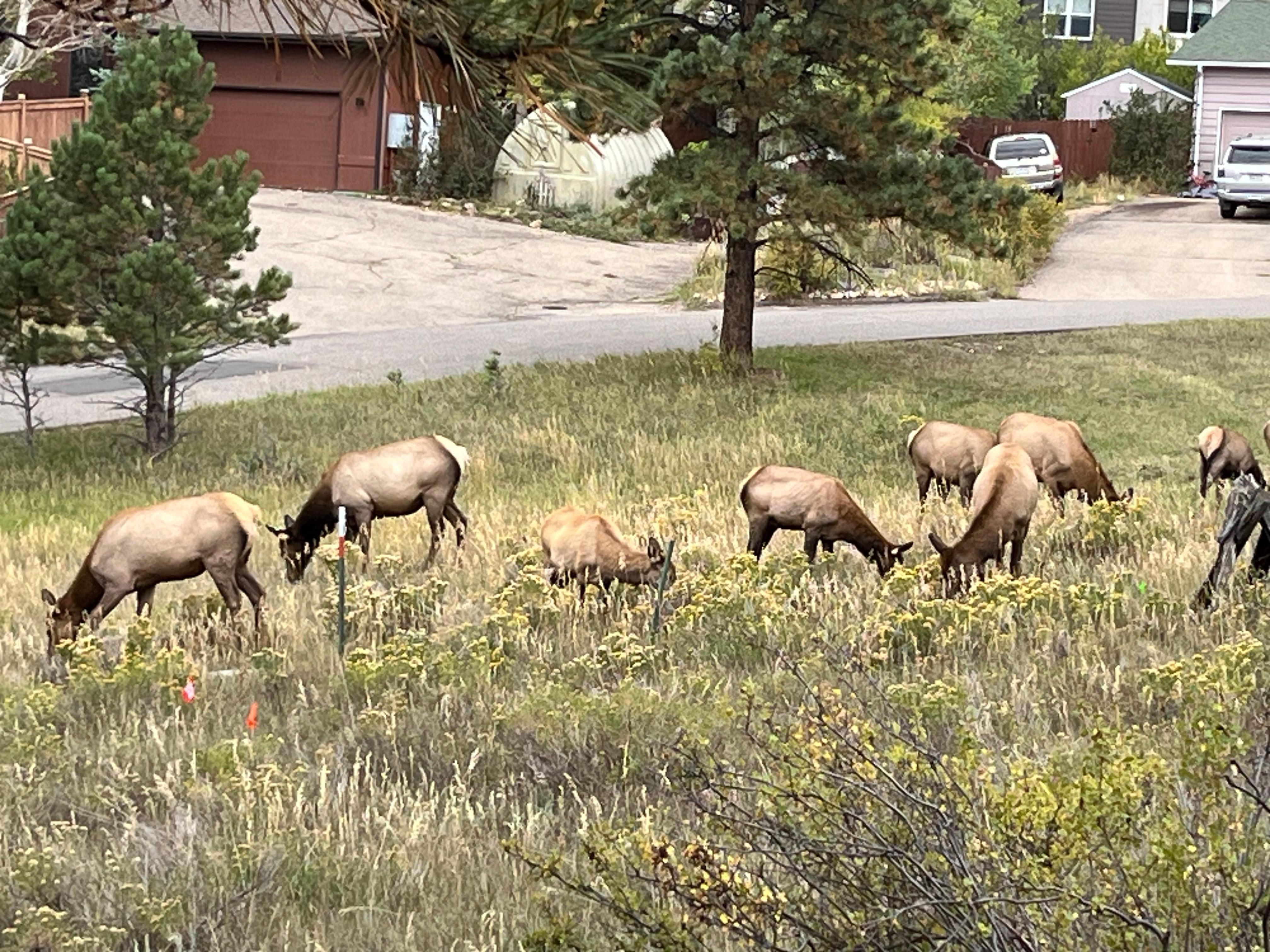 From our living room window.