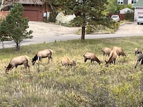 From our living room window.