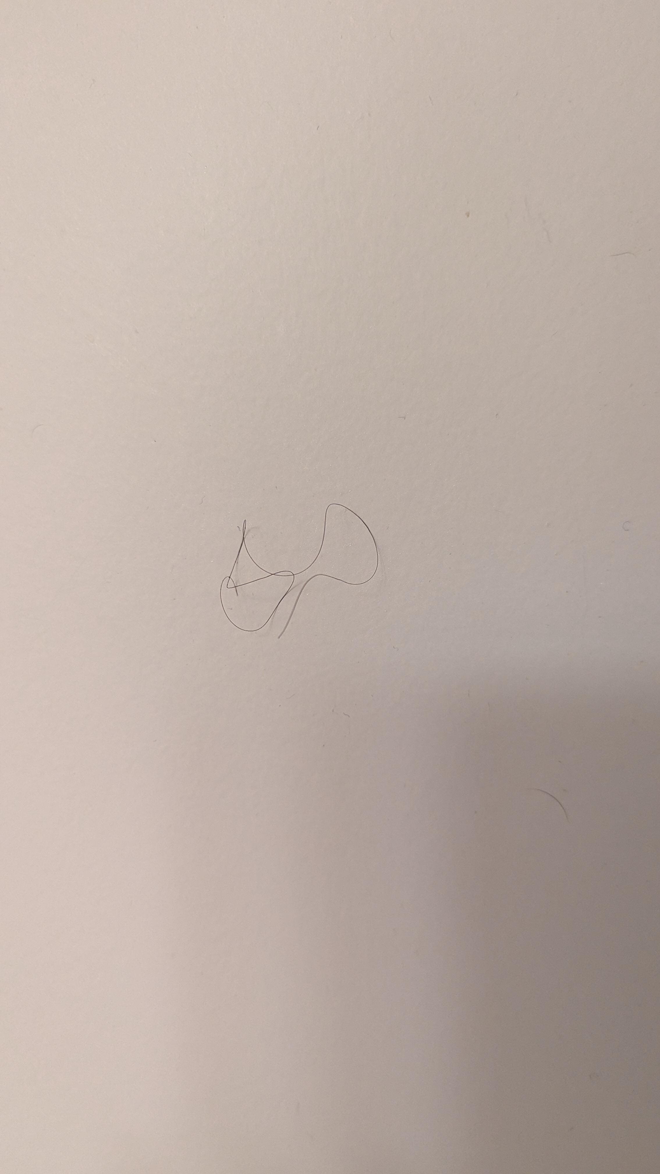 Hair