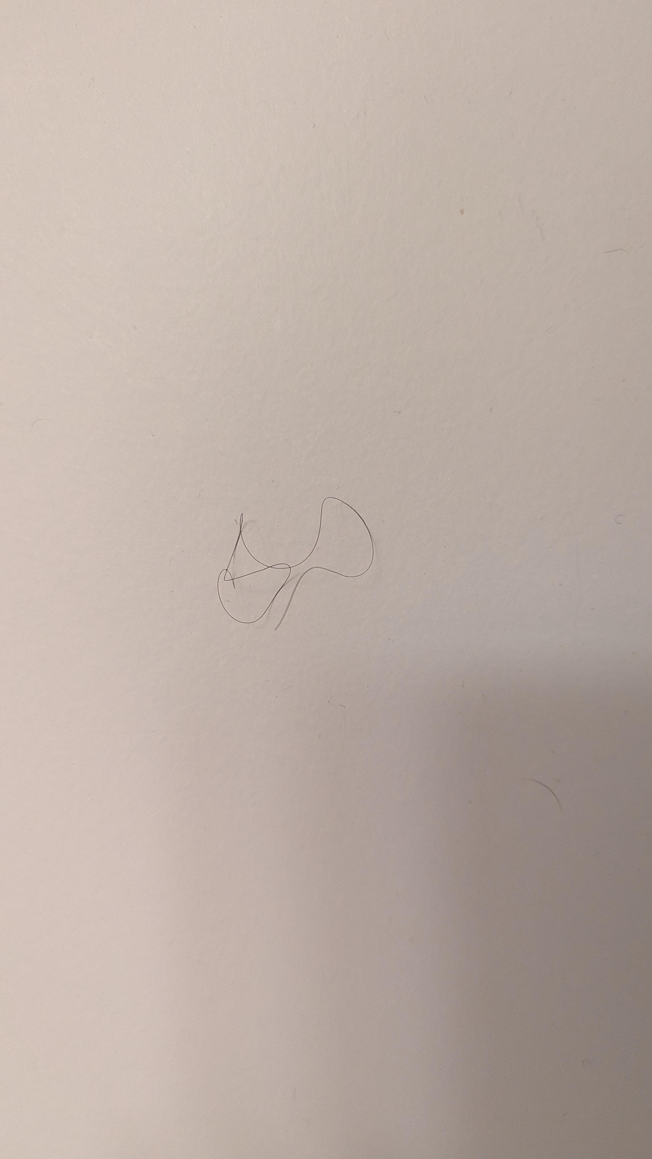 Hair