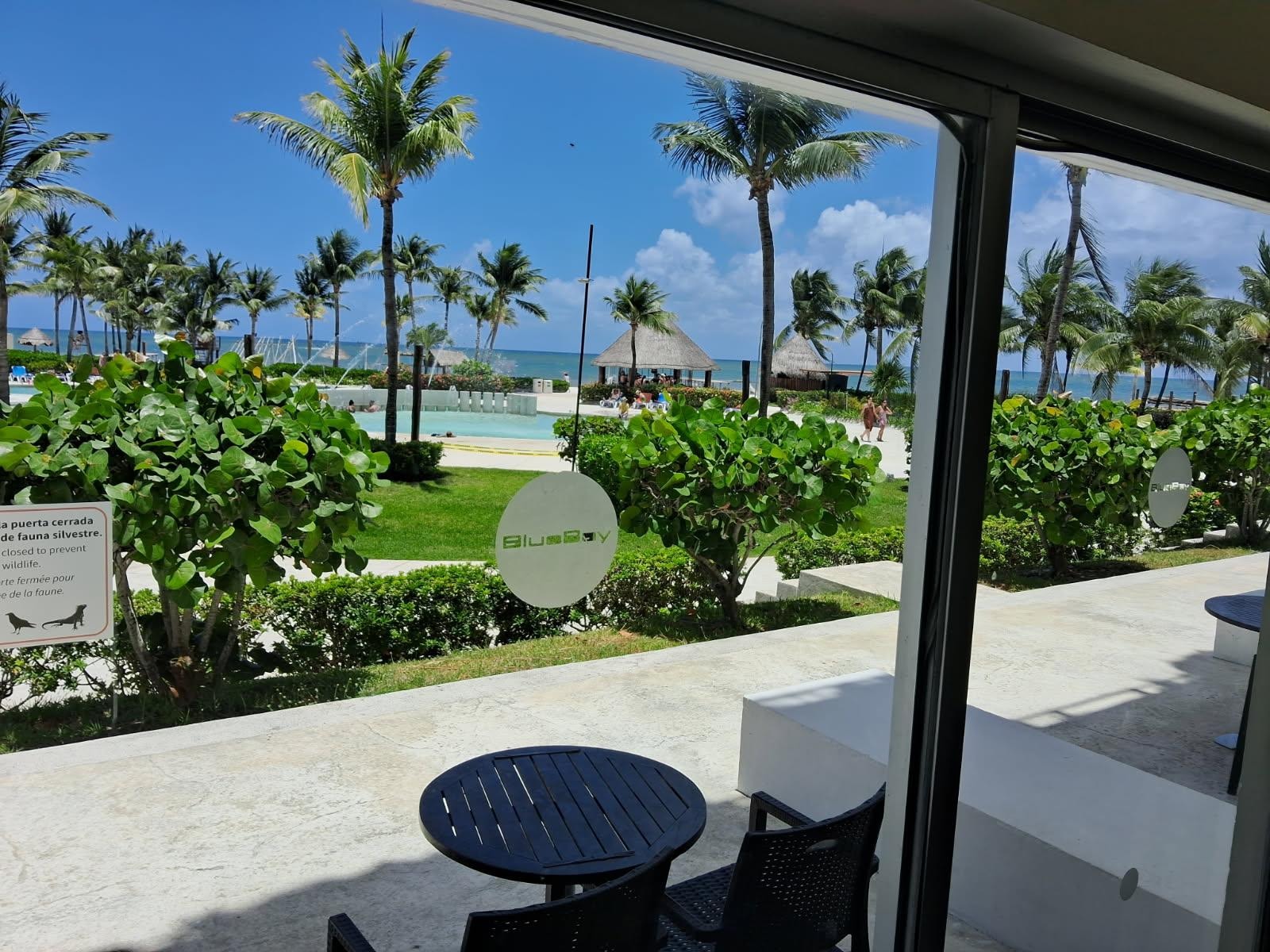 View from our Ocean View Room, very convenient!