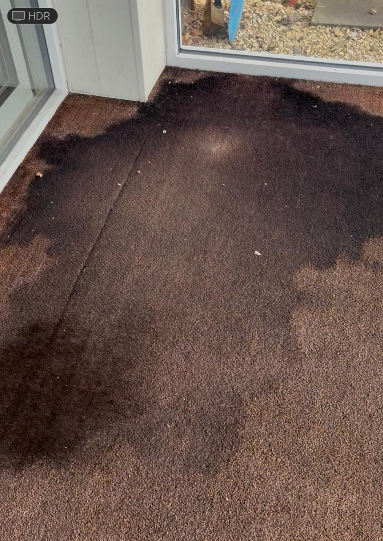 The welcome mat!