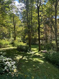Outdoor area, great for walking the dogs and seeing butterflies.