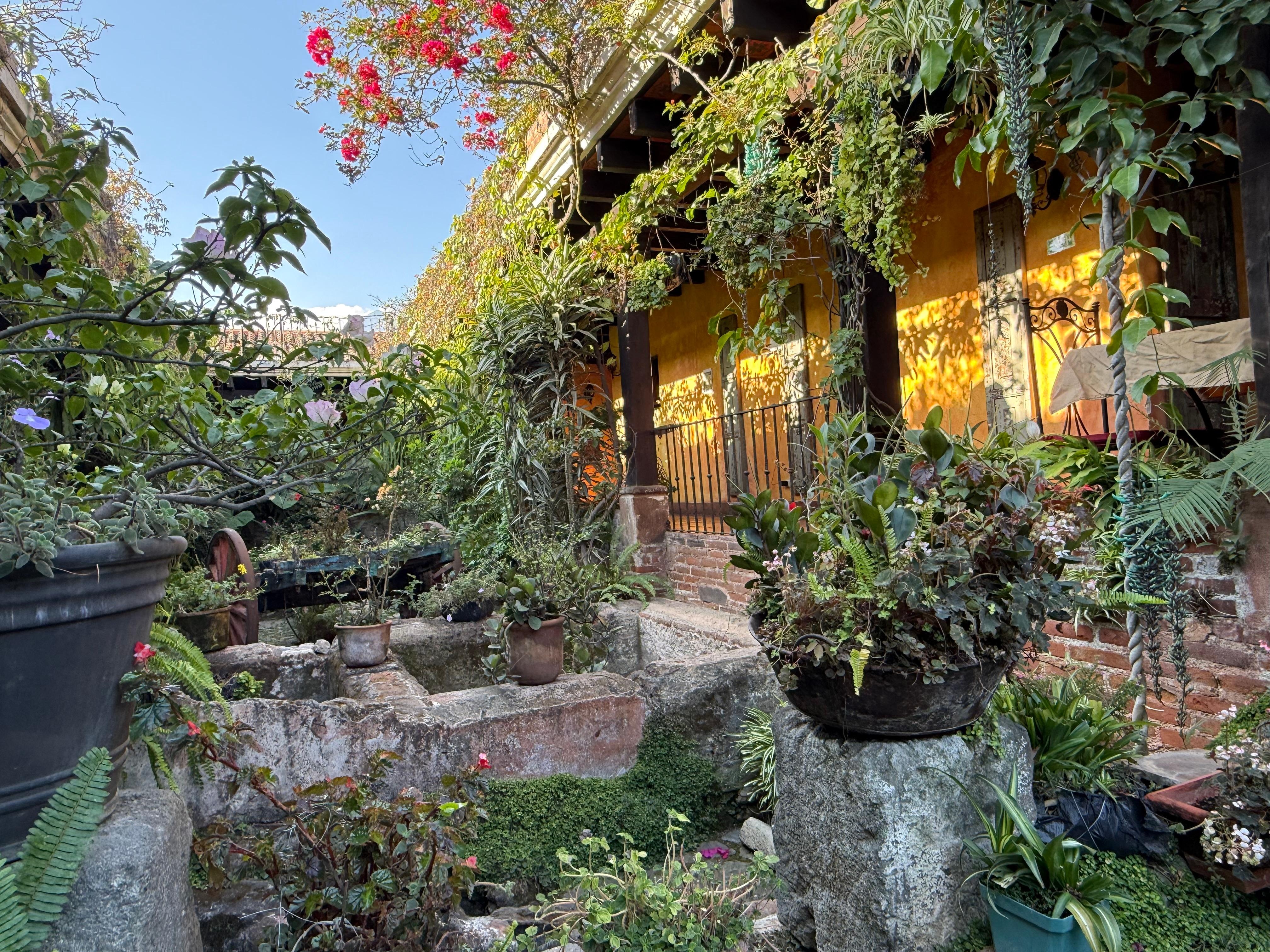 Another view of the courtyard 