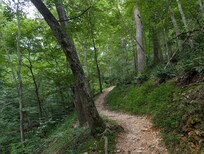 Hiking trail just 1/4 mile from house