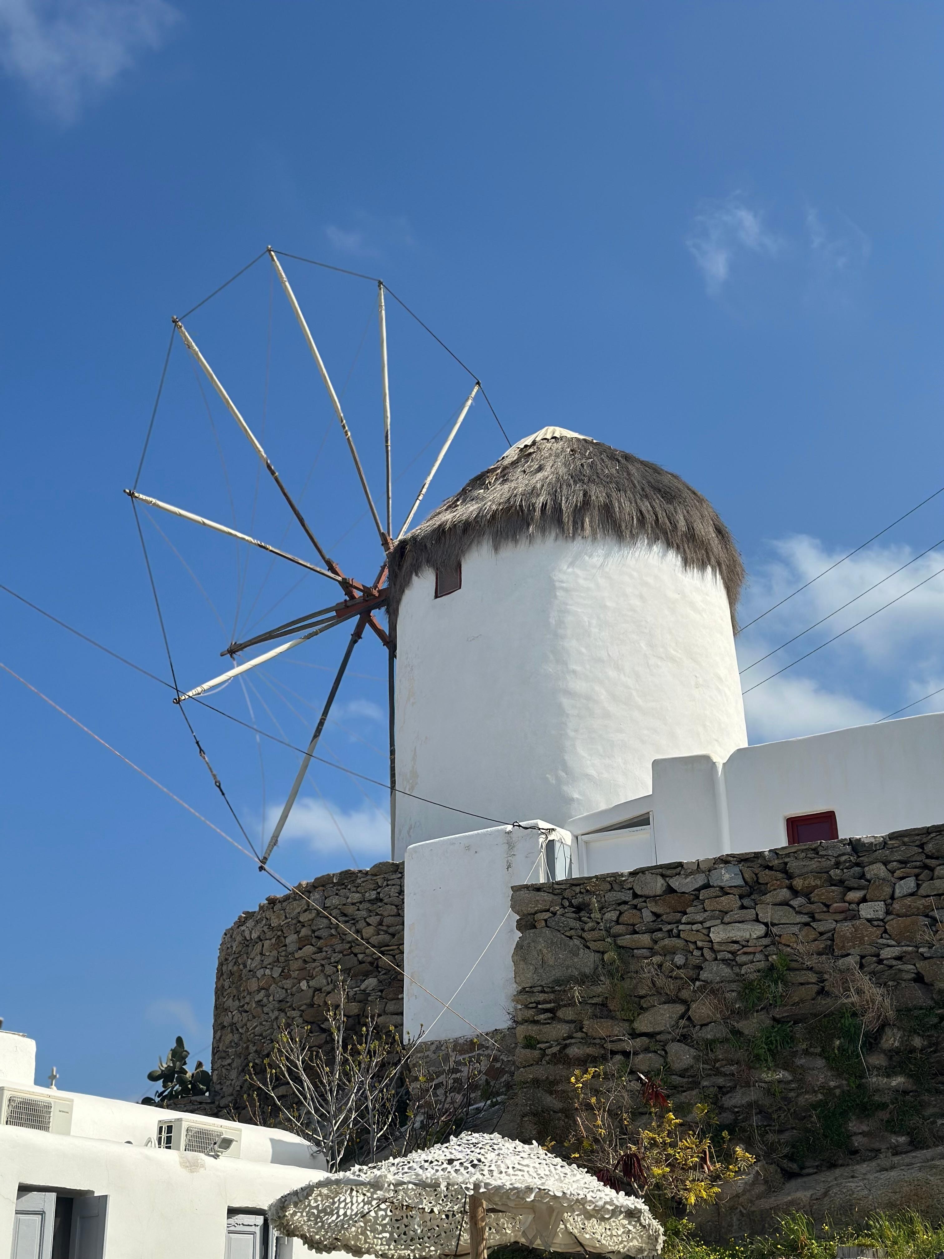 One of many windmills