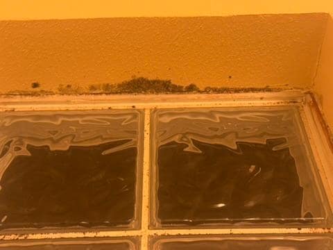 This is one of the bathrooms with the black mold. 