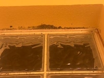 This is one of the bathrooms with the black mold.
