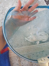 El recoge hojas de la piscina roto