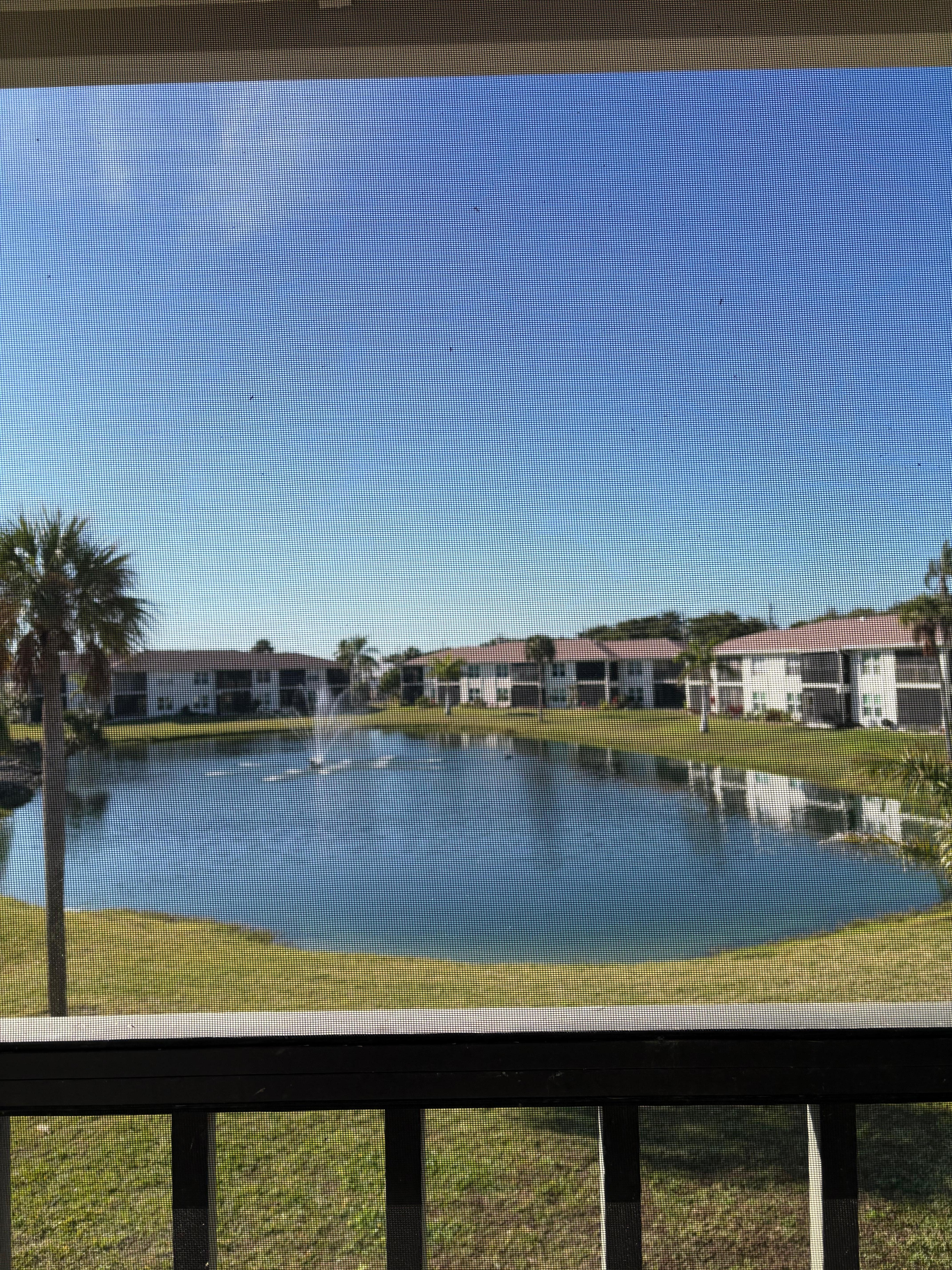 Pond view from lanai 