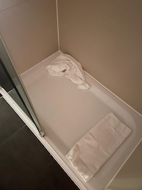 Dusche 1. Anblick
Putzen vergessen?