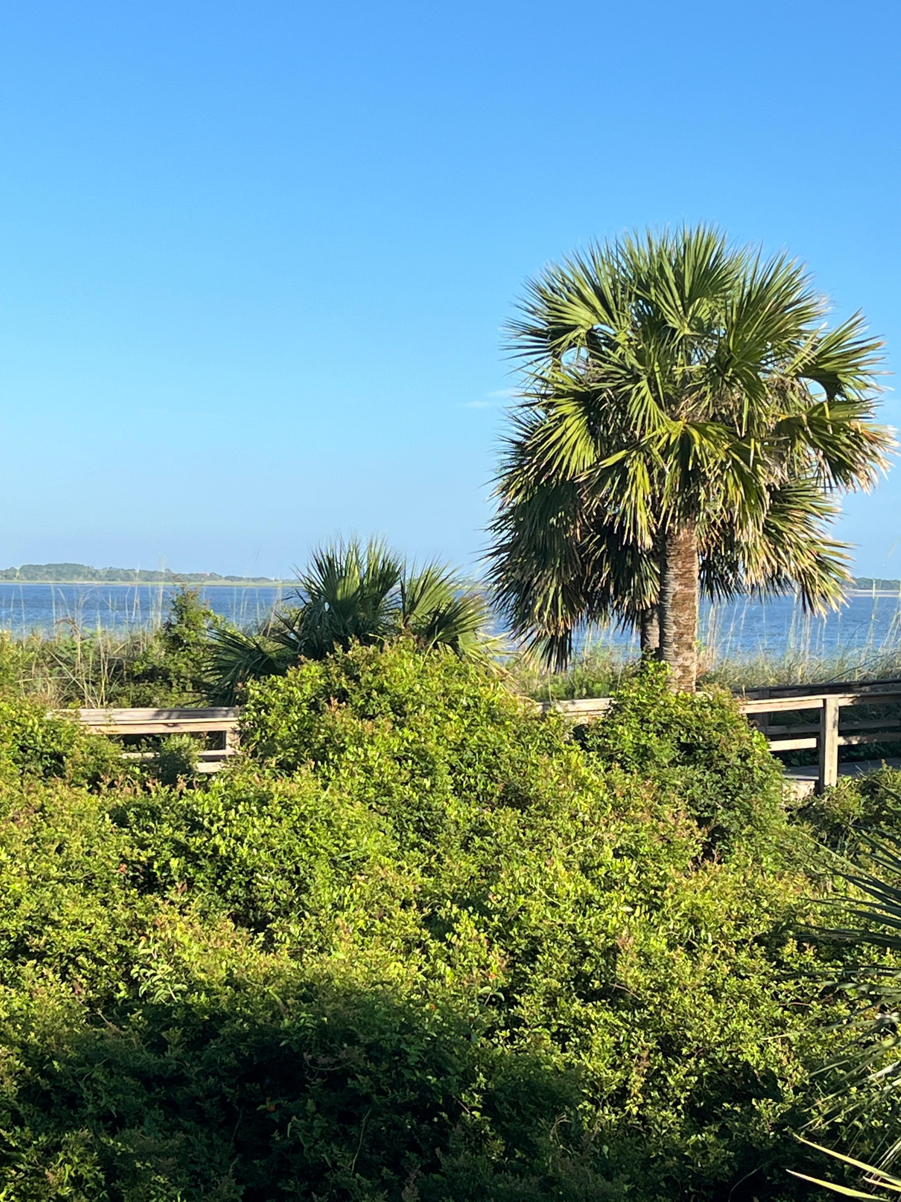 View from balcony