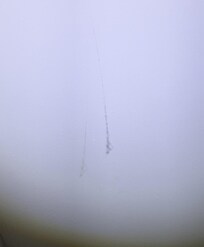 Teia de aranha no teto do banheiro