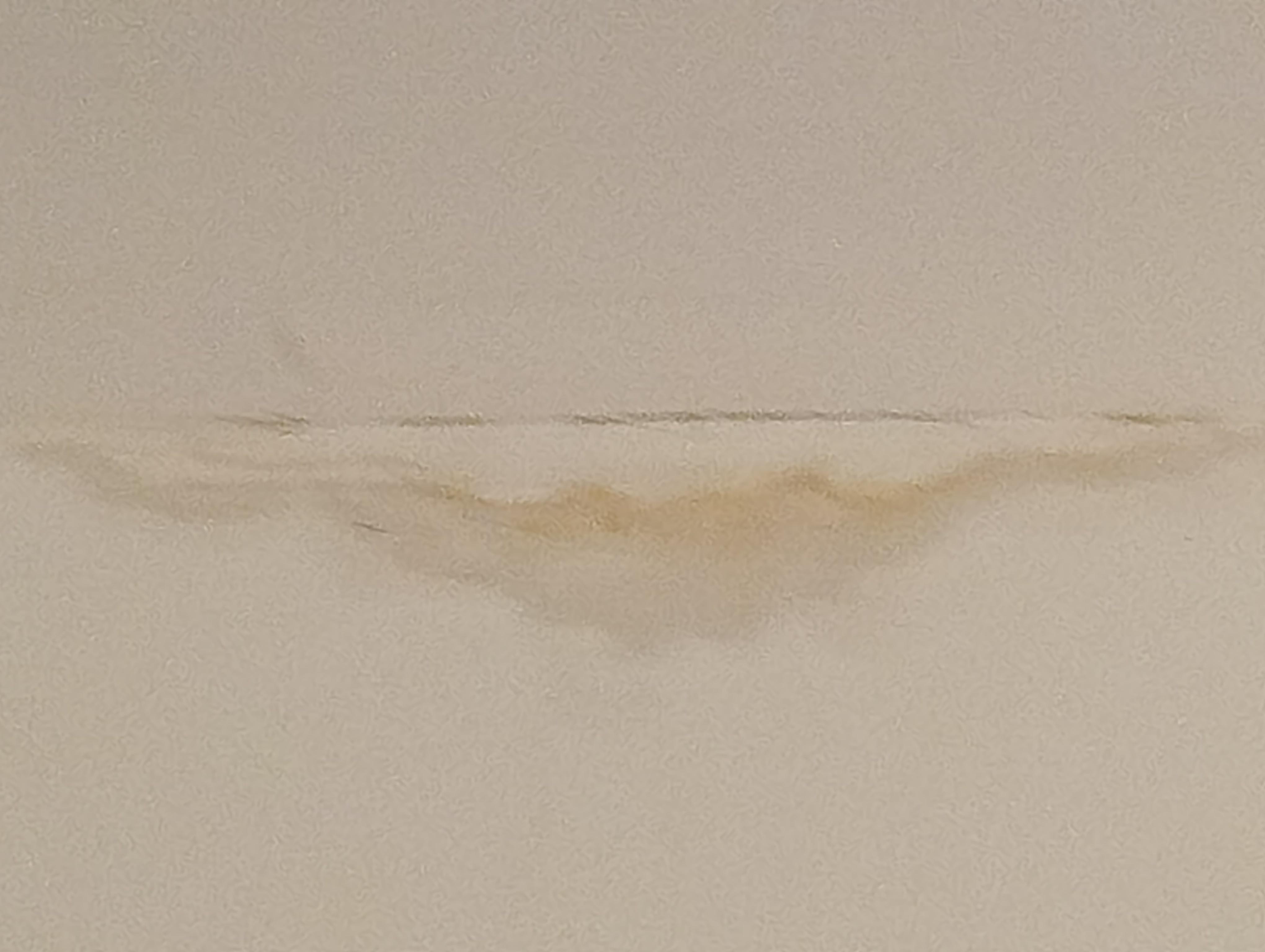 Looks like water or urine coming down the wall