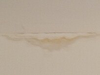 Looks like water or urine coming down the wall