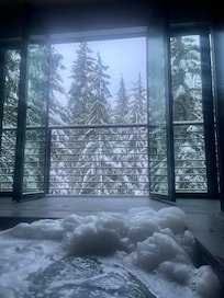 Forest bathing in the hot tub!