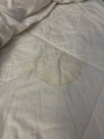 Dirty bedding