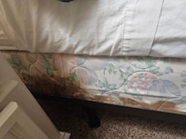More blood stains