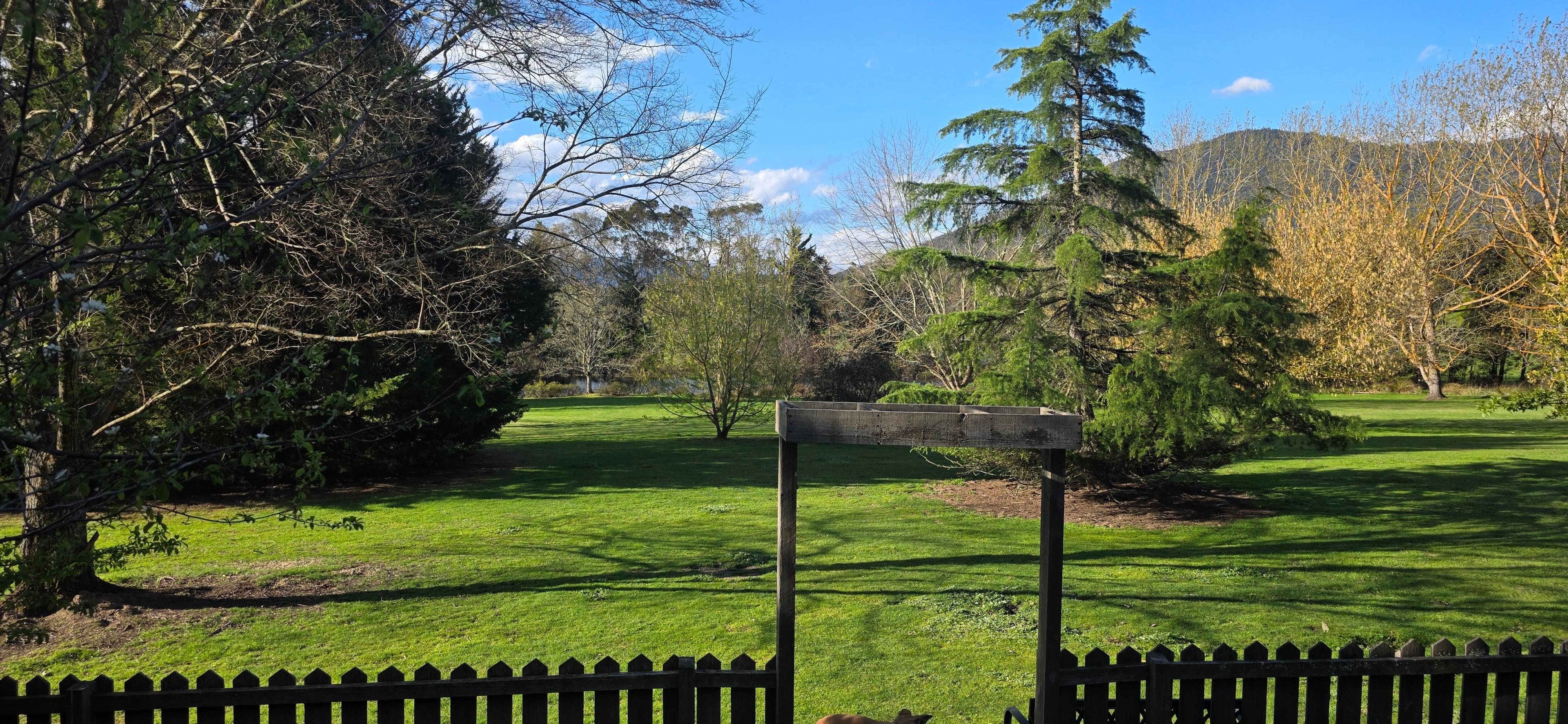 View from friend's cabin