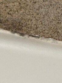 Black mold