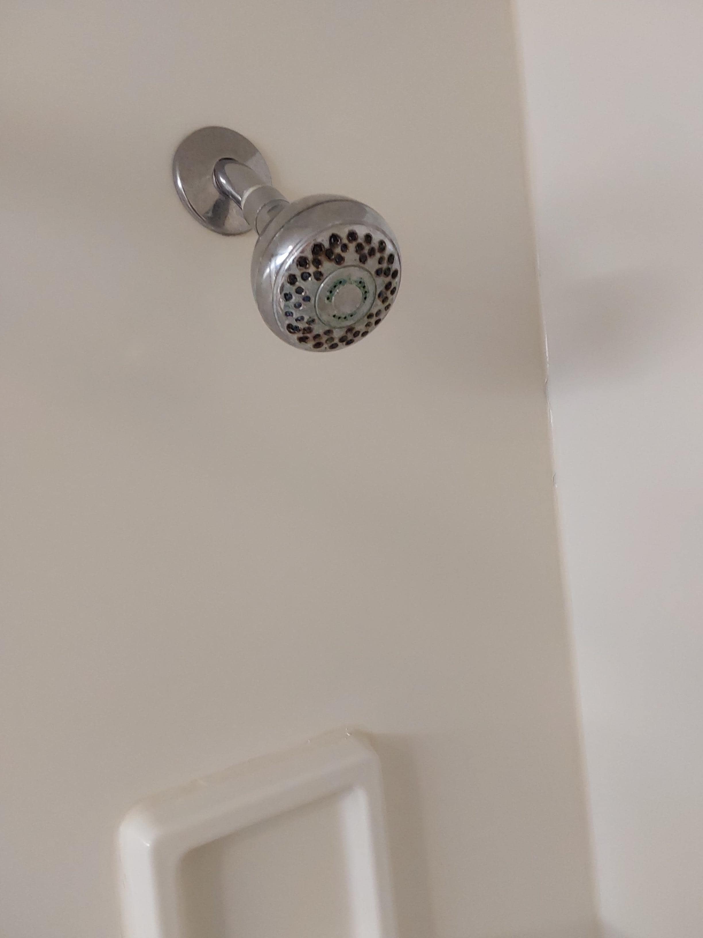 Crusty shower head