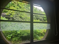 식당에서 본 밖