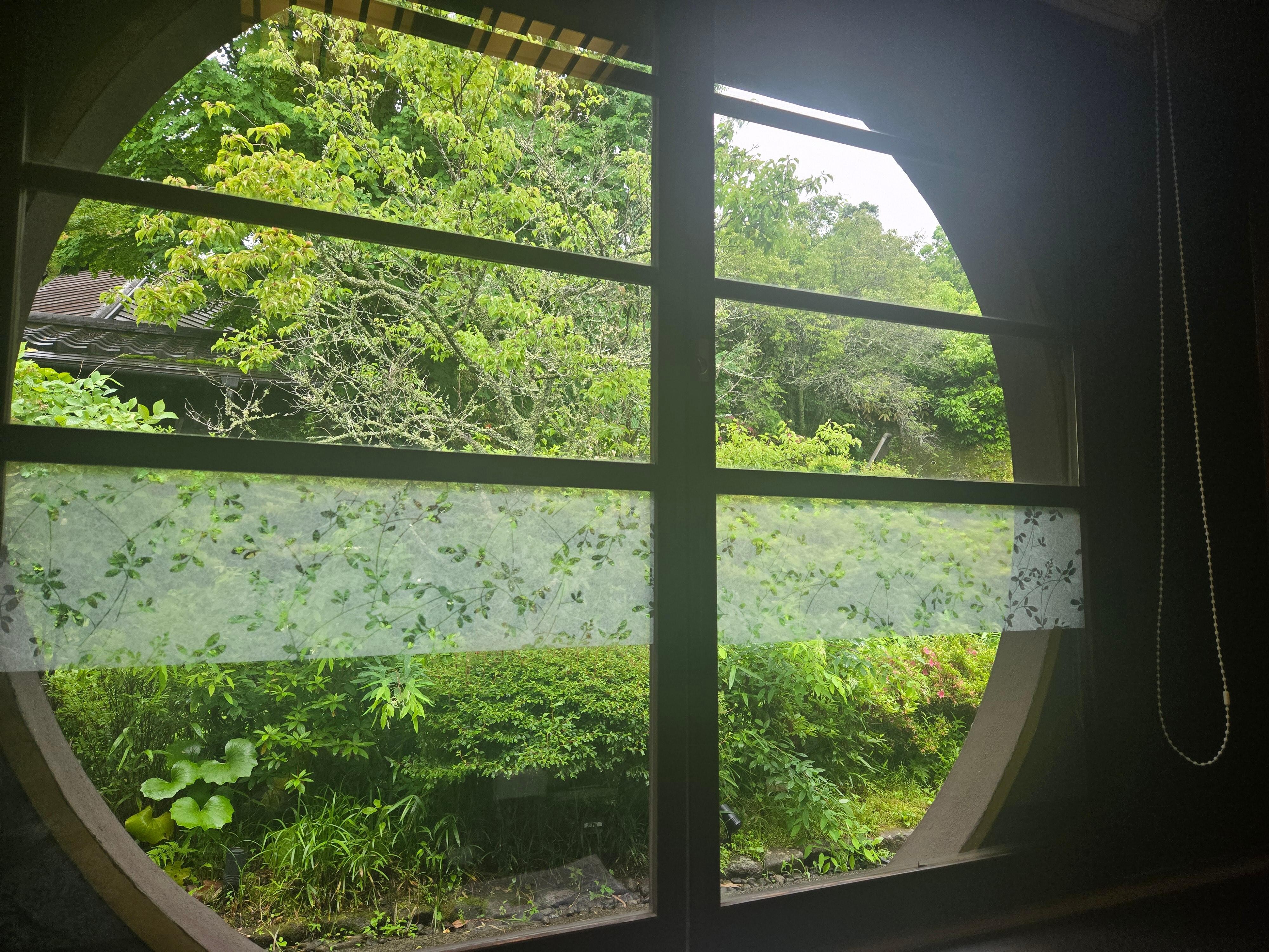 식당에서 본 밖