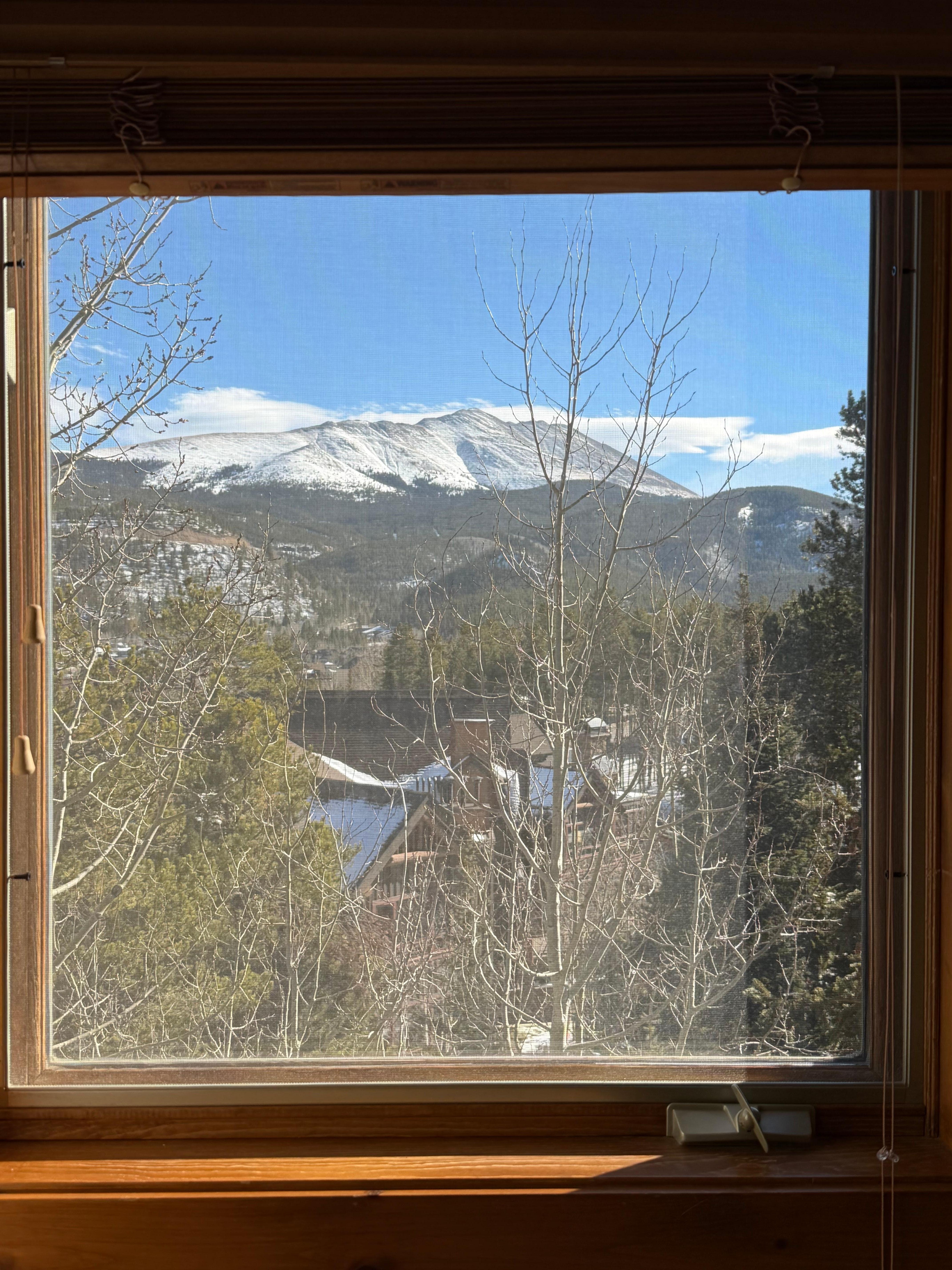 Views like this from every window