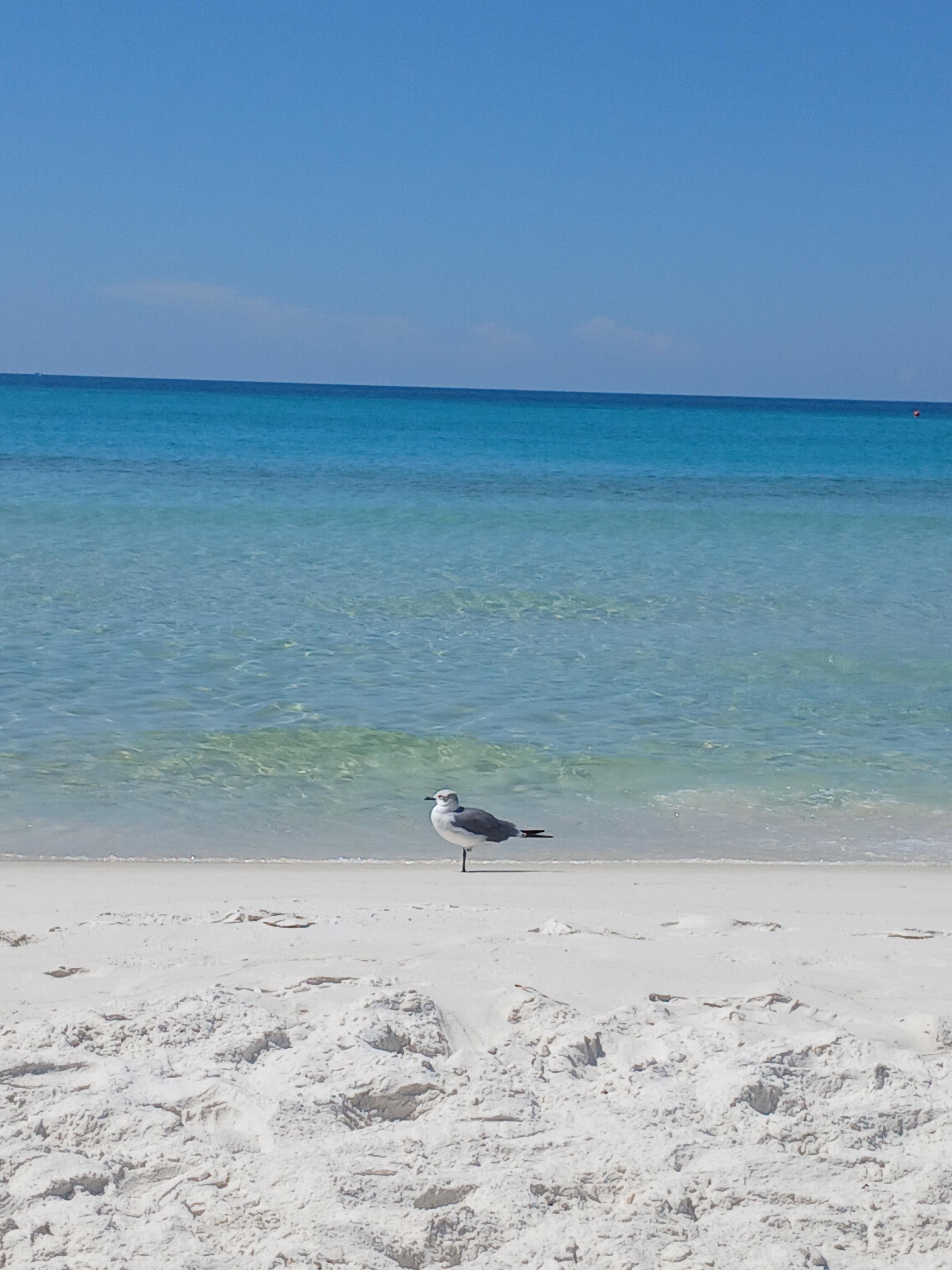 Almost no waves this week 