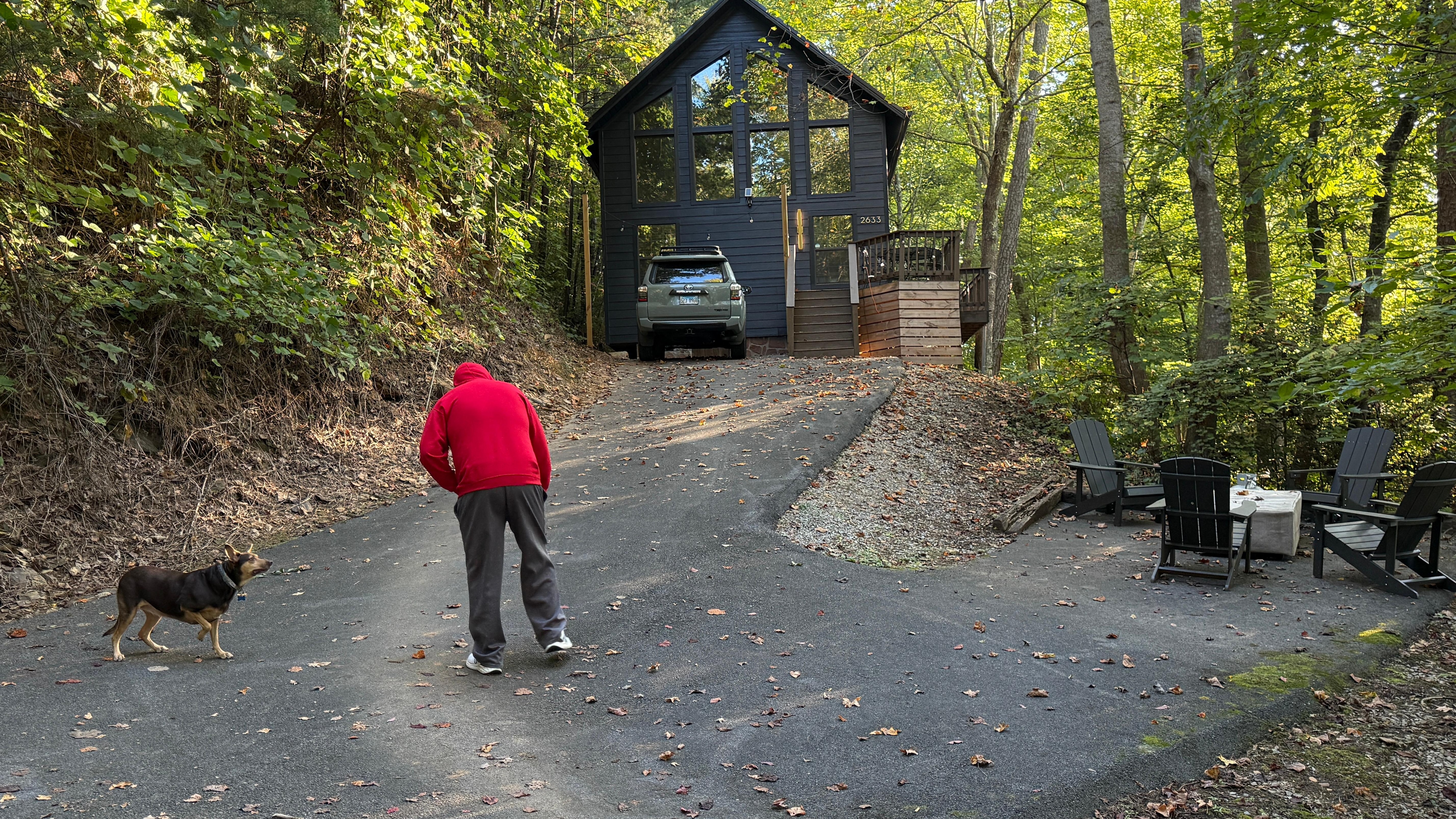 Hubby tossing a stick for our Kelpie. She loved it too!