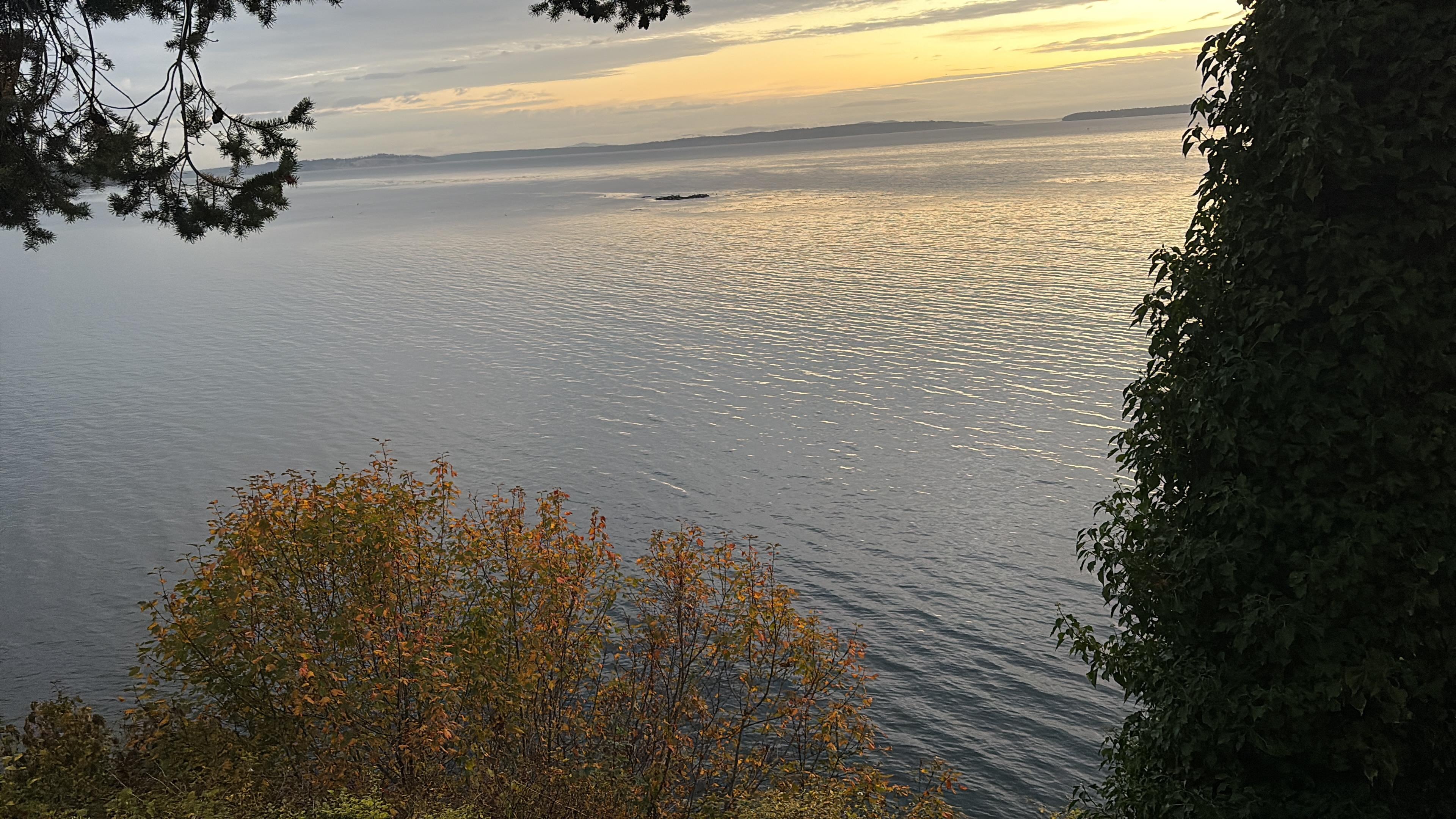 View from the main window 