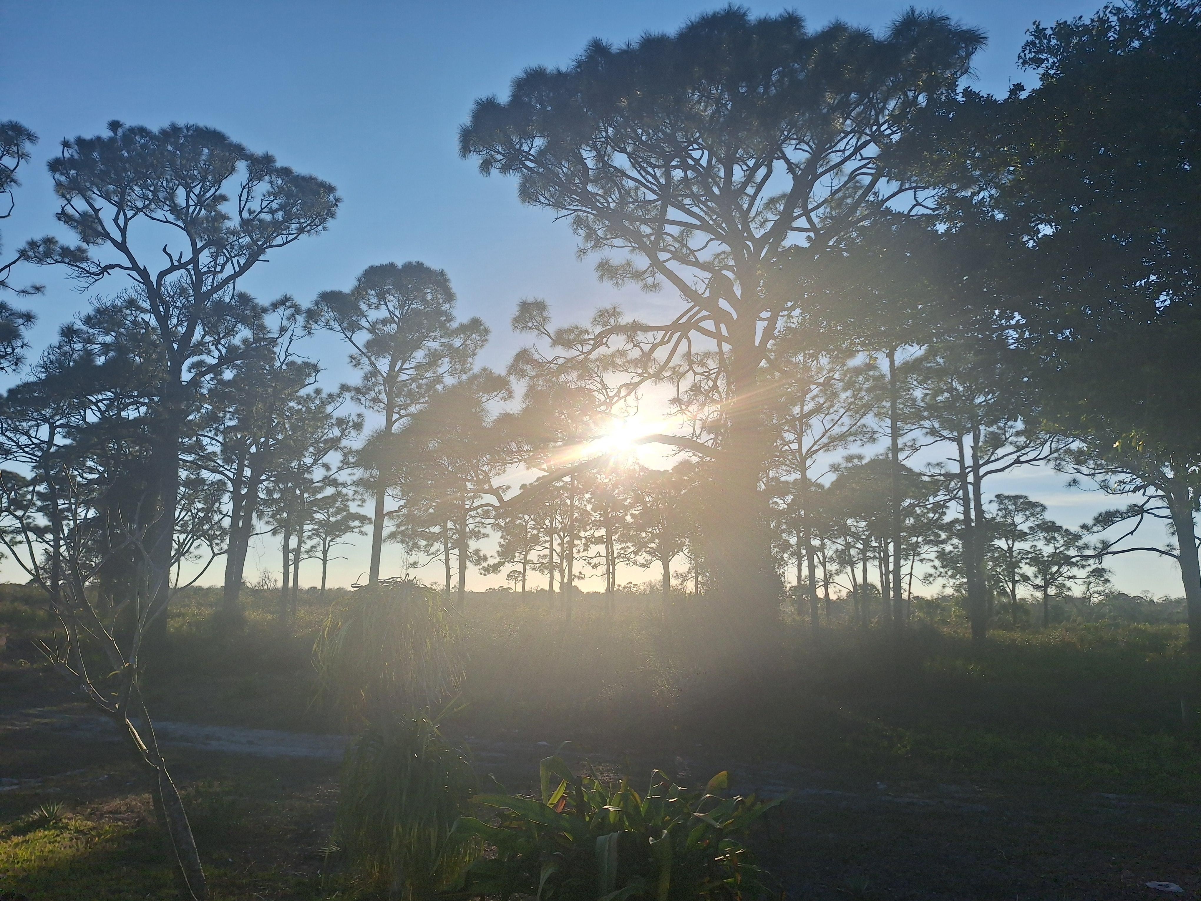 View from the rear patio