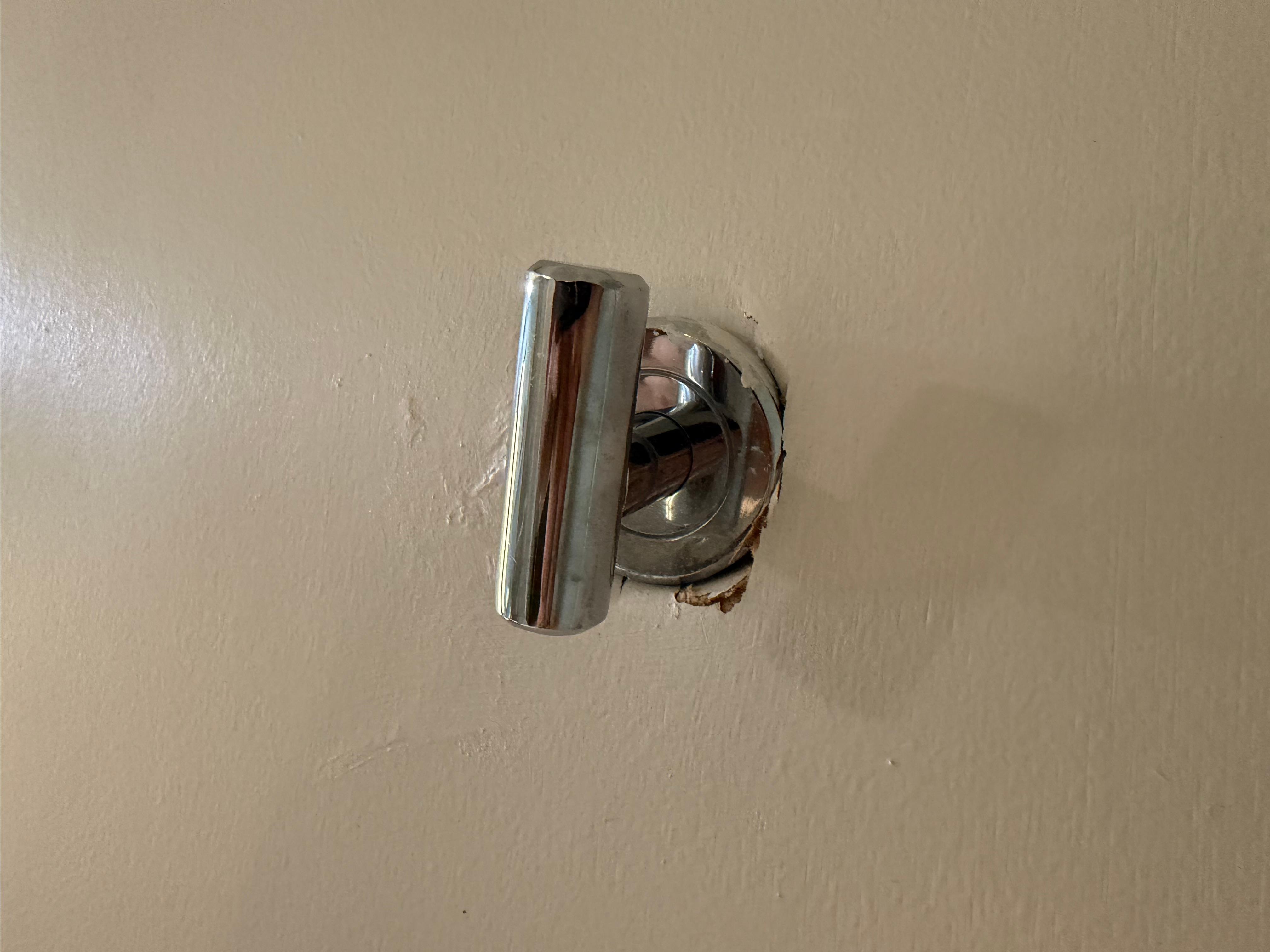 Hollow core door with hole