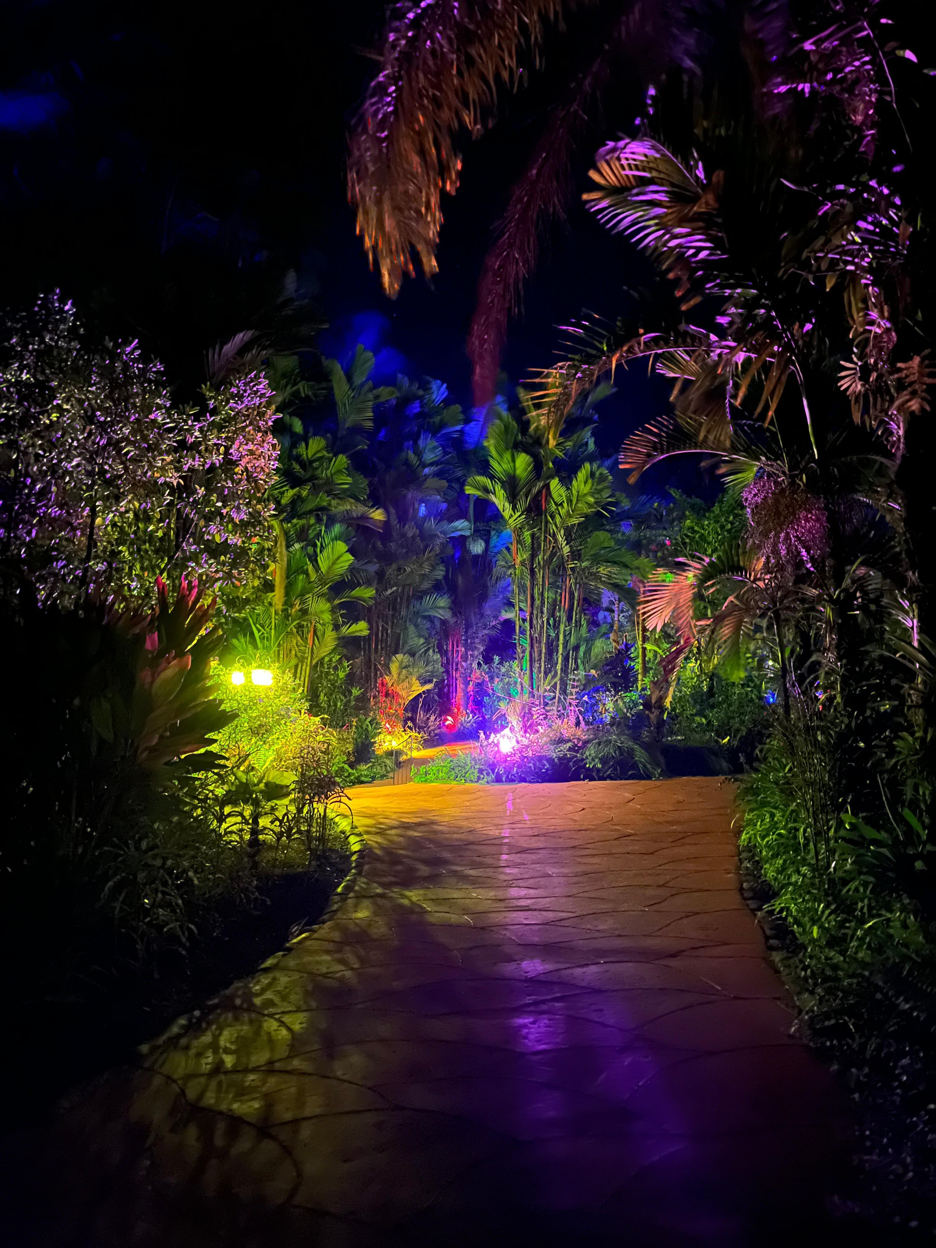 Evening walk to dinner