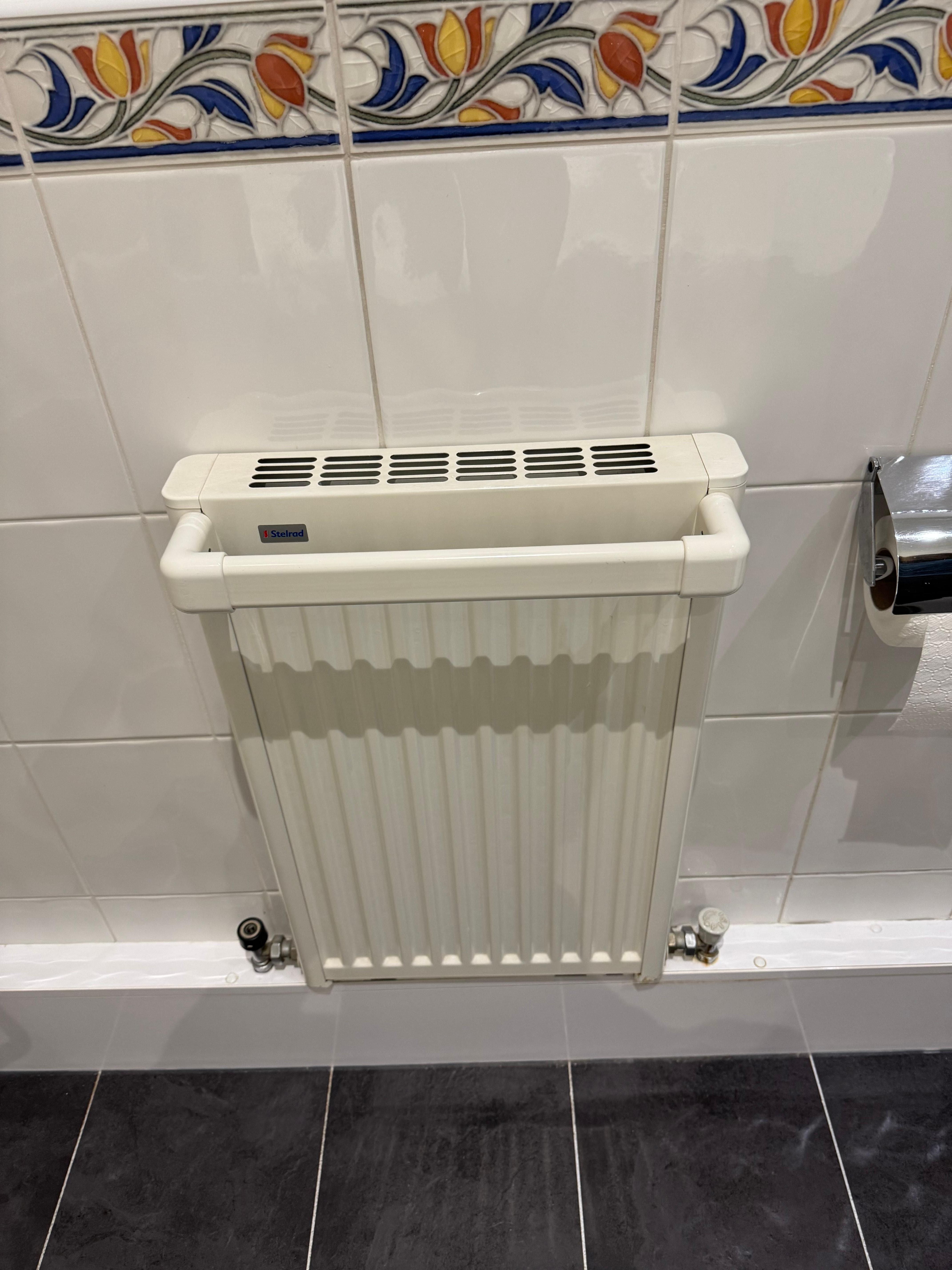Bathroom radiator