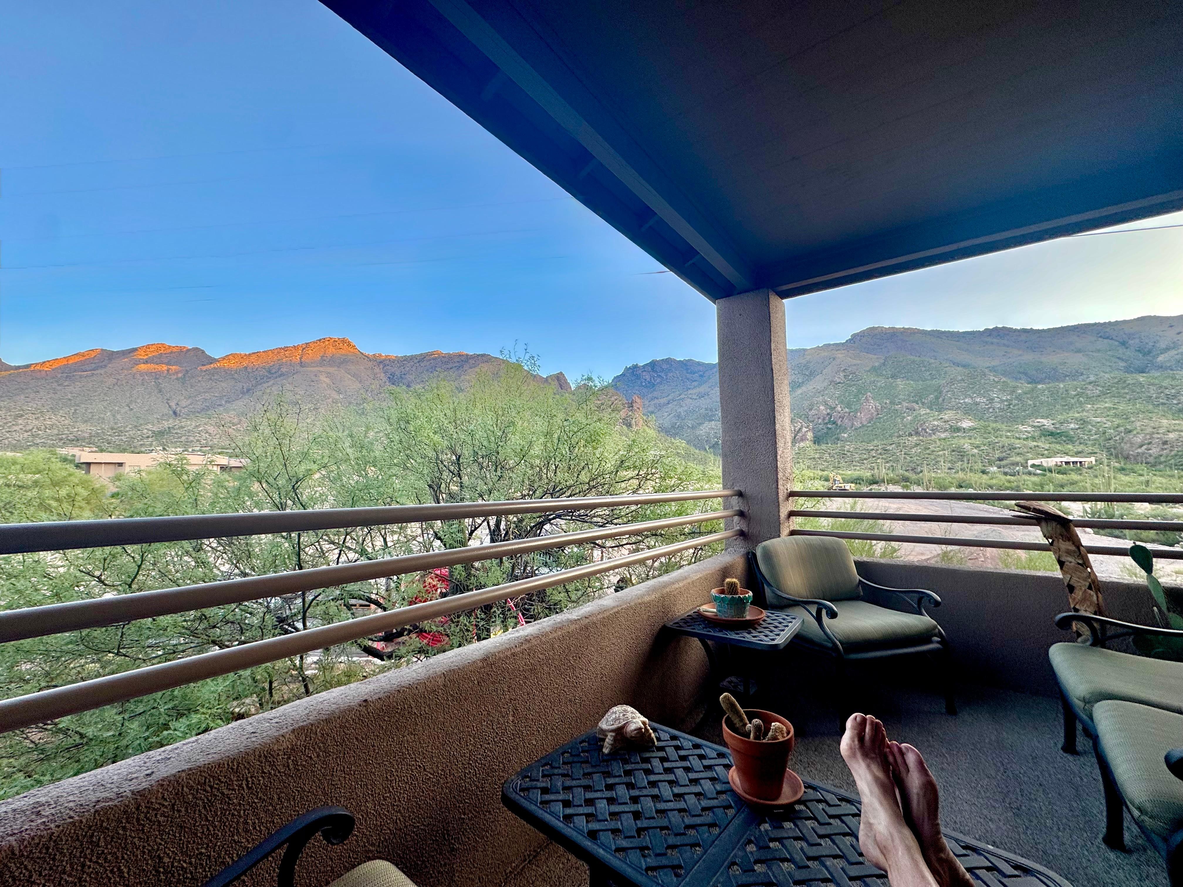 Back porch morning coffee with the birds.