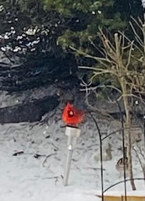 It snowed 4-5” during our stay. Simply beautiful.