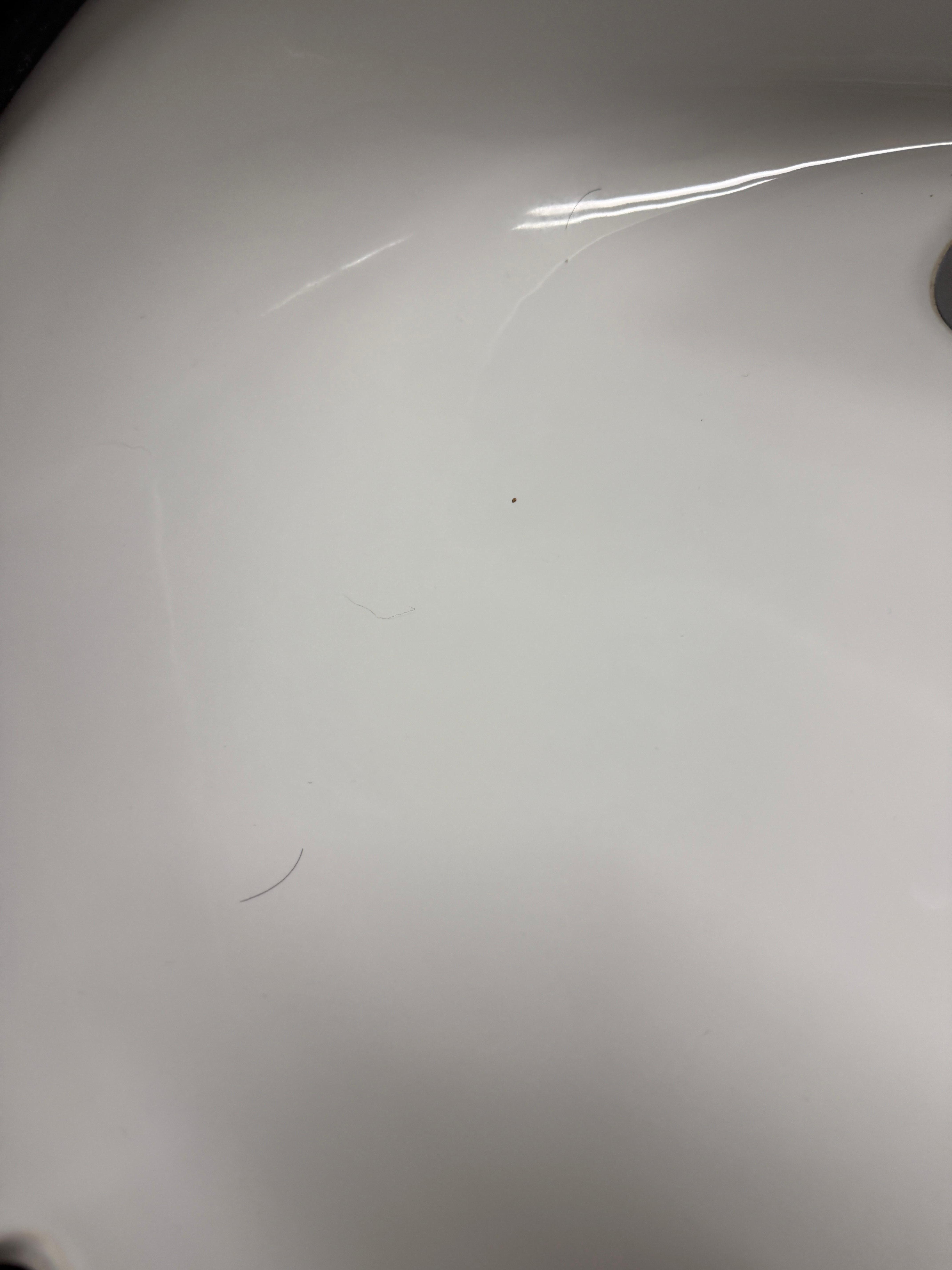 Hair in the sink, after they “cleaned” the room. 