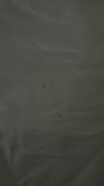 Hard to see in pictures, but several gunky spots