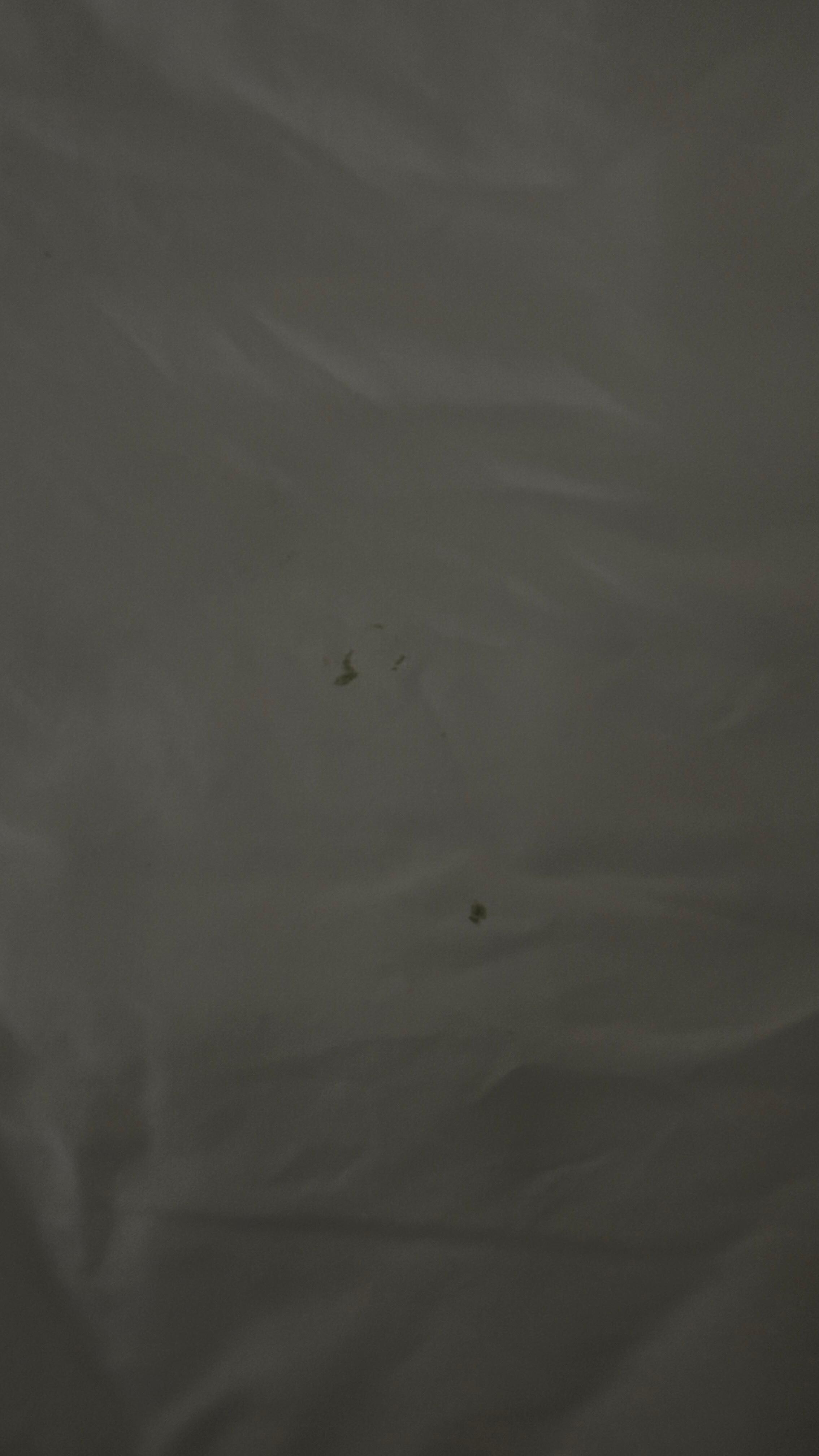 Hard to see in pictures, but several gunky spots
