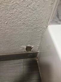 Bathroom wall