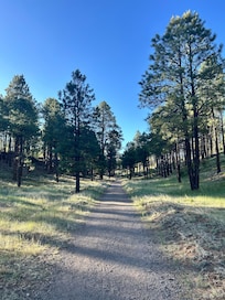 On the trail behind the Little America Flagstaff