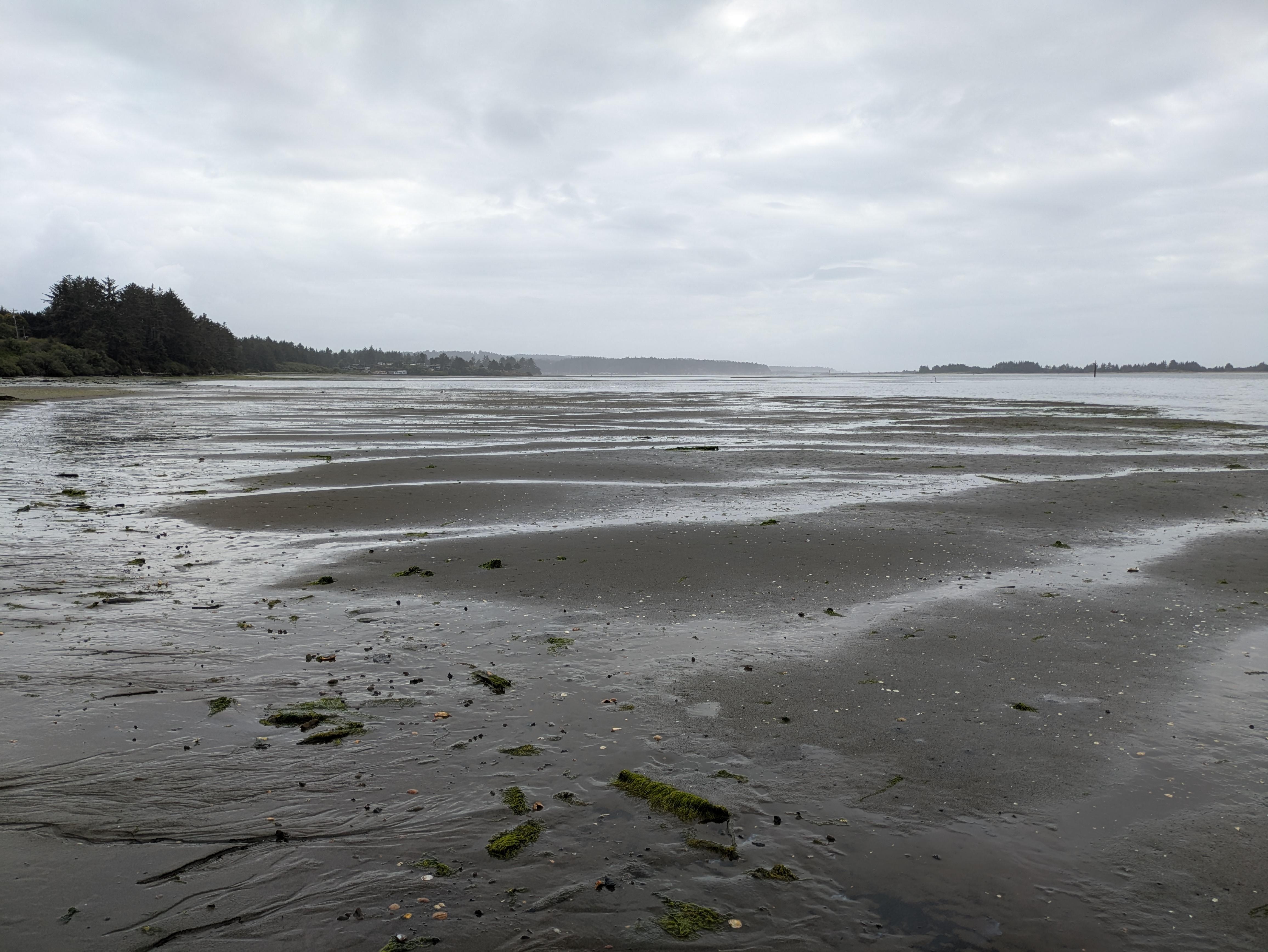 View from the beach adjacent to this property