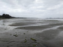 View from the beach adjacent to this property