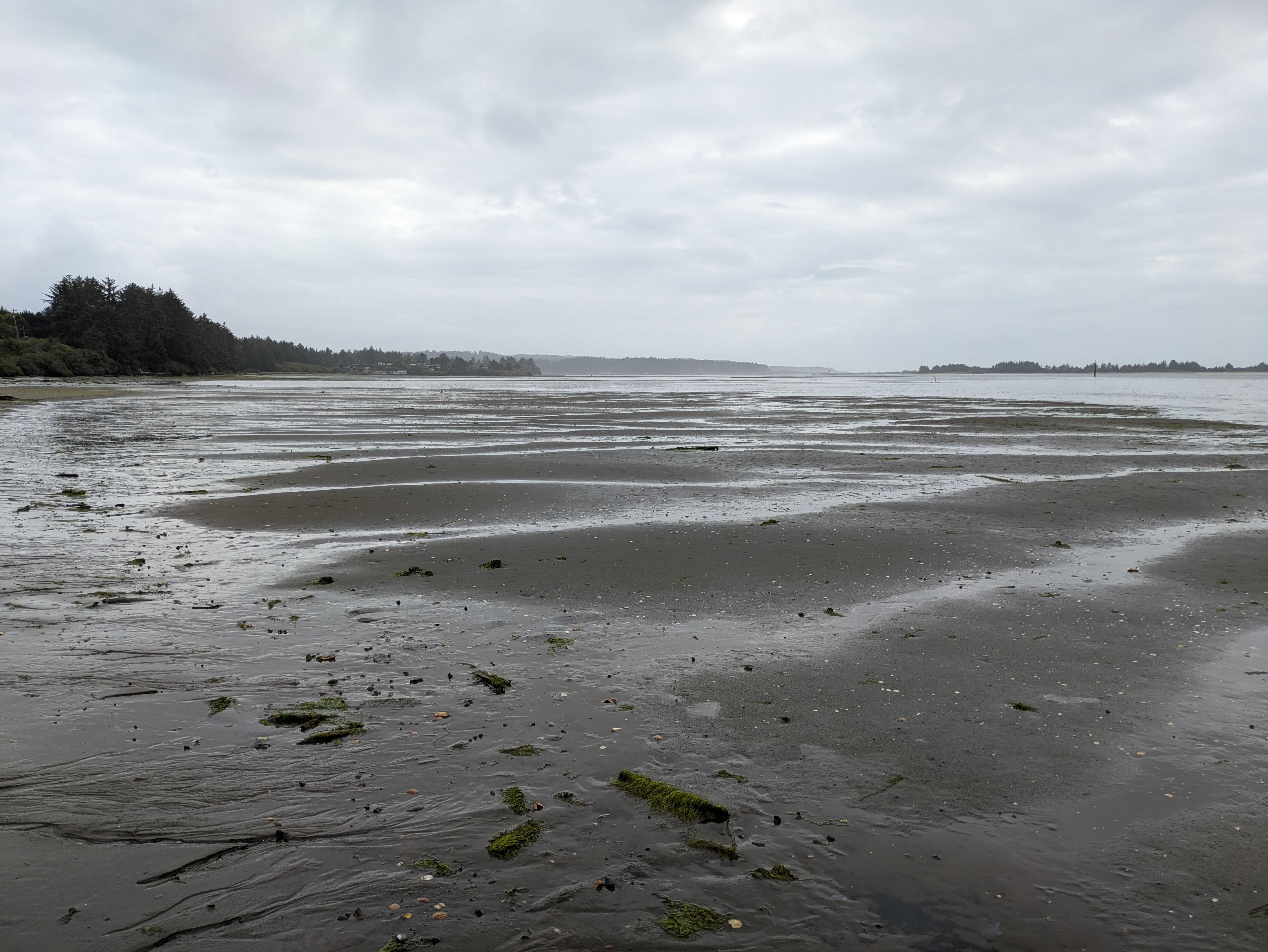 View from the beach adjacent to this property