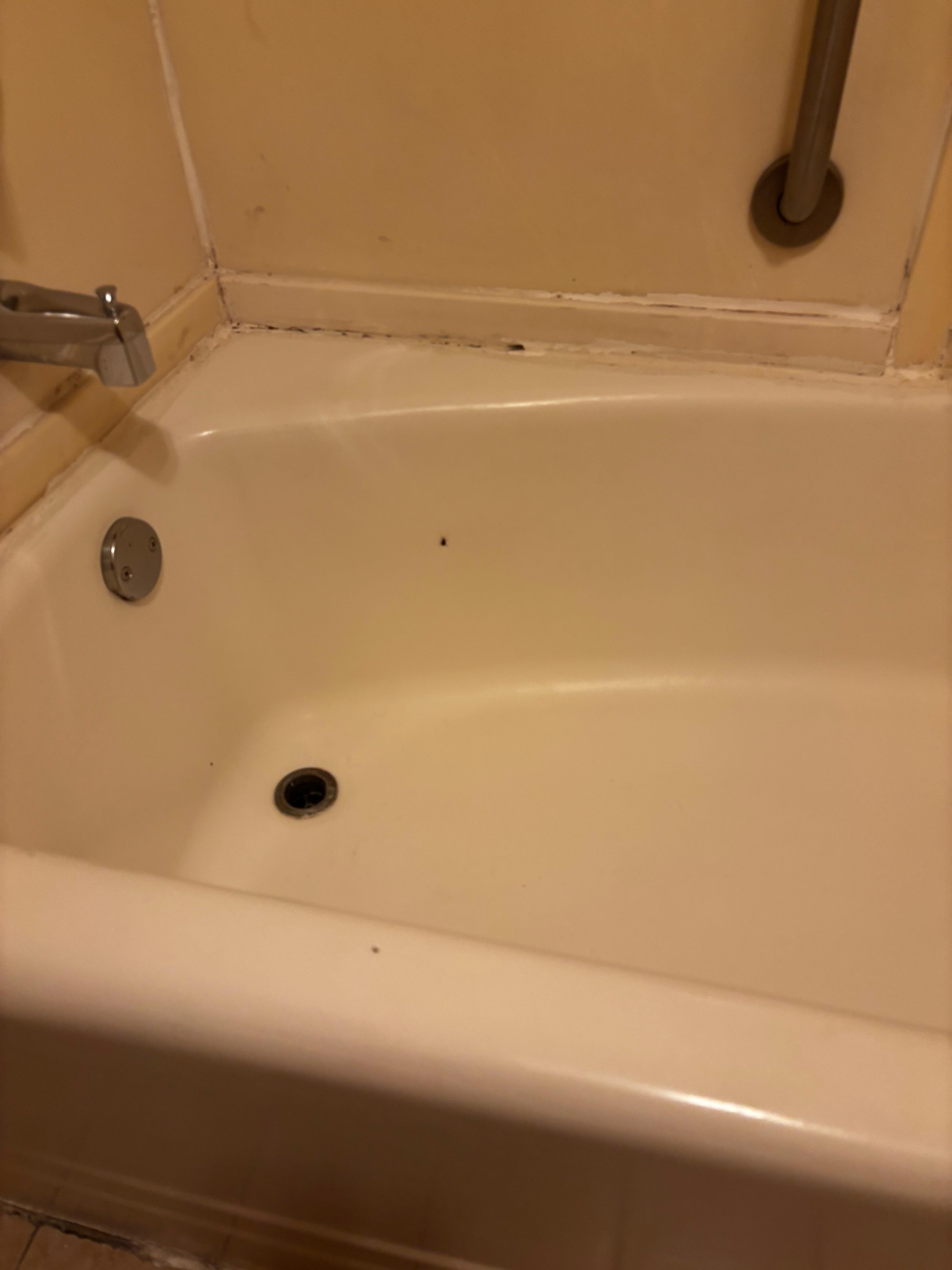 Bug in the bathtub.